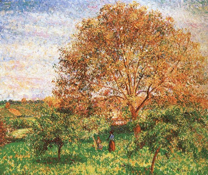 Camille Pissarro Red sky under the apple tree